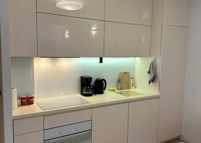 Cruise Ship Bridge View Luka Διαμέρισμα Ντουμπρόβνικ